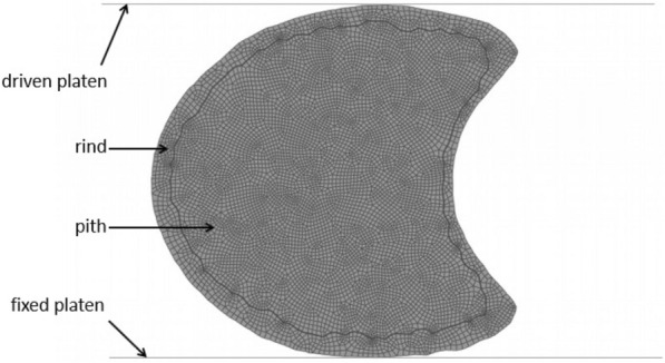 Fig. 12