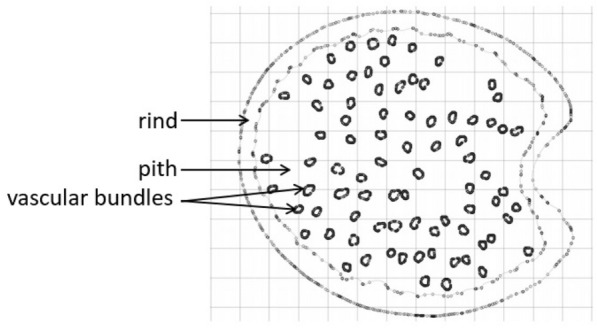 Fig. 11