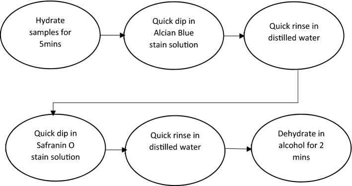 Fig. 10