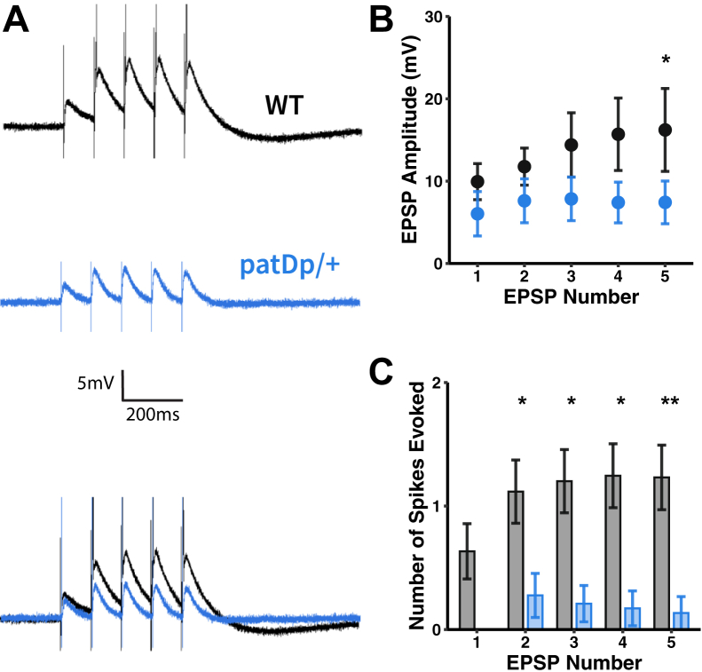 Figure 4