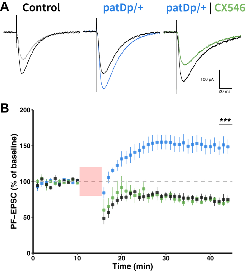 Figure 6