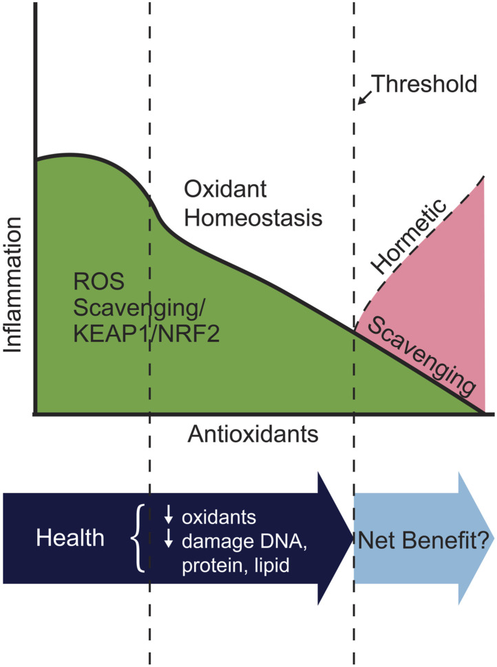 Graphical Abstract
