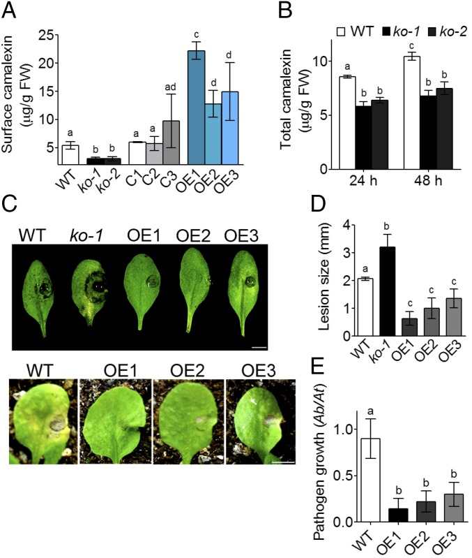 Fig. 4.