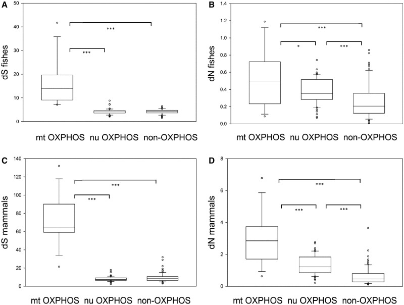 Fig. 2.—