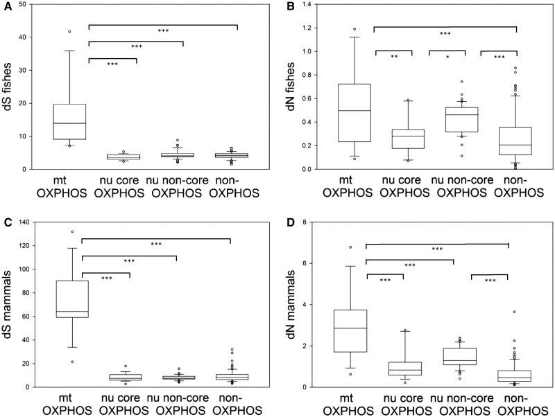 Fig. 4.—