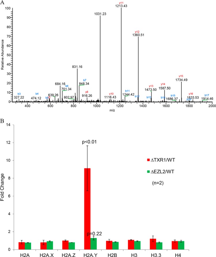 Fig. 6.