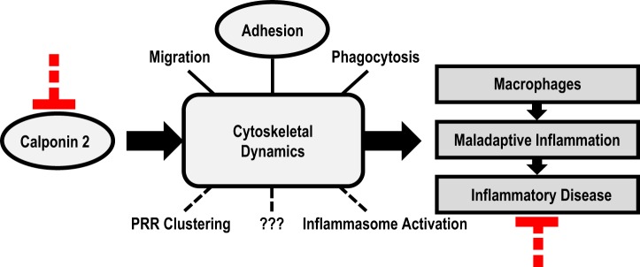 Fig. 8.