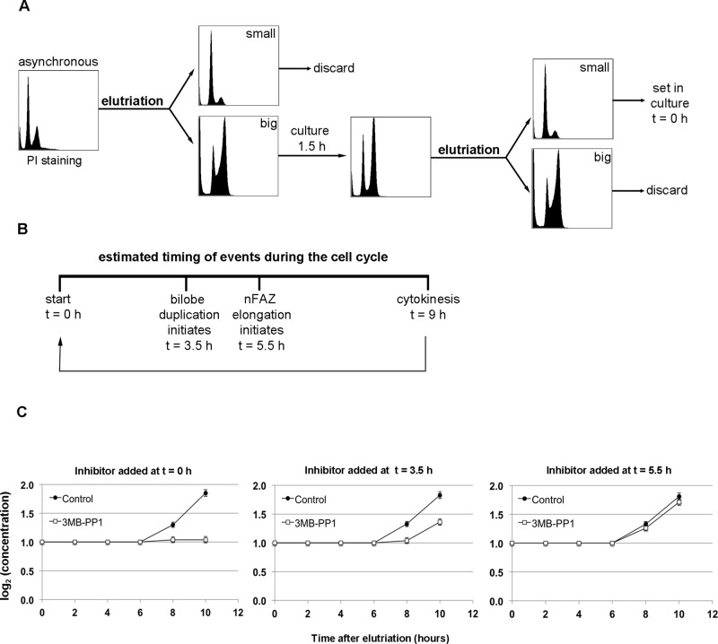 FIGURE 4: