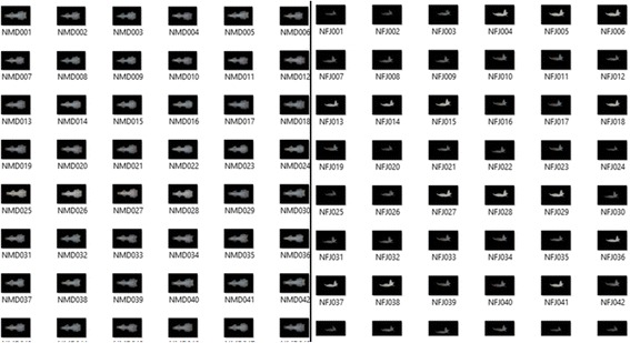 Fig. 10