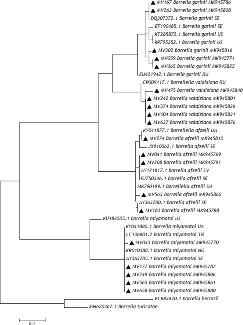 Fig. 3