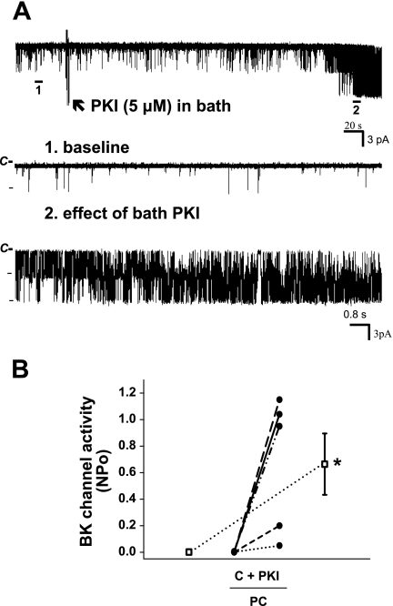 Fig. 4.