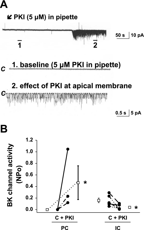 Fig. 3.