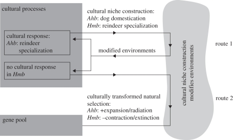 Figure 7.