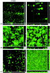 FIG. 7.