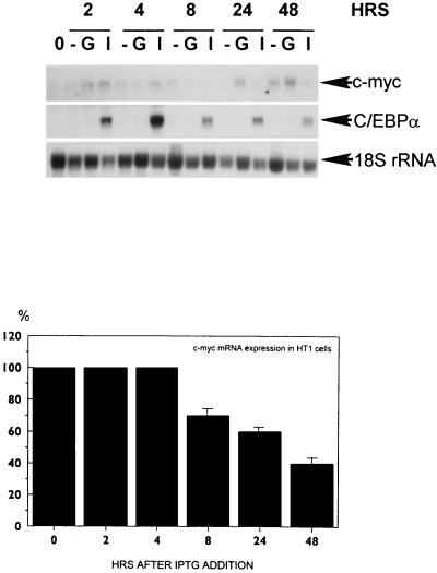 FIG. 10