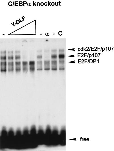 FIG. 8