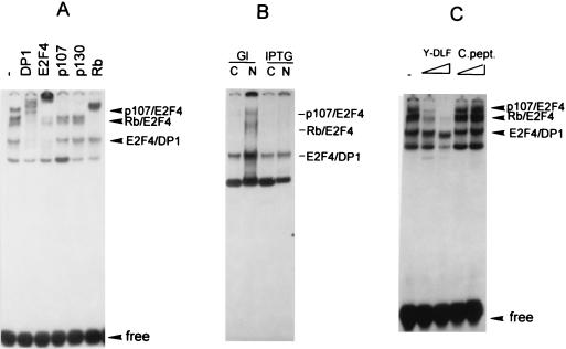 FIG. 9