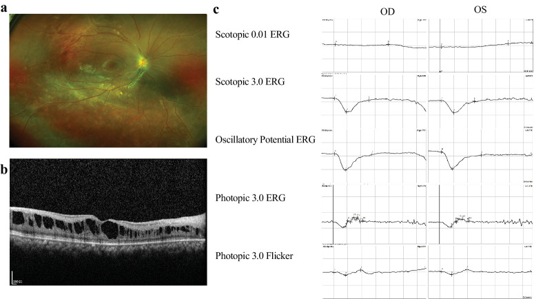 Figure 3.