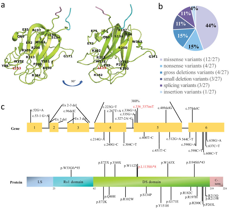 Figure 6.