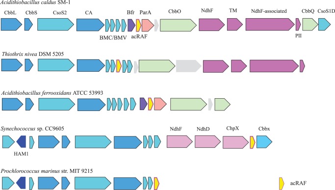 FIGURE 1.