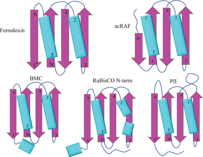 FIGURE 4.