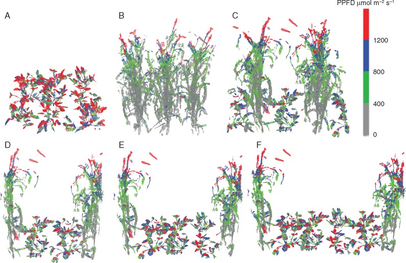 Fig. 3.