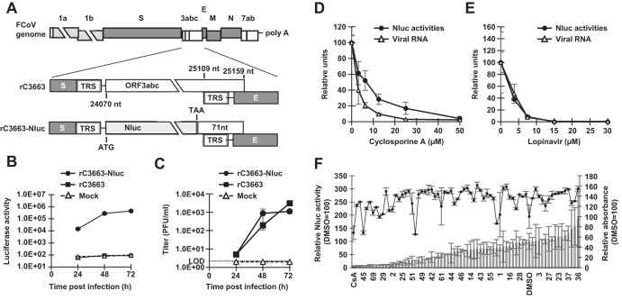 FIG 2