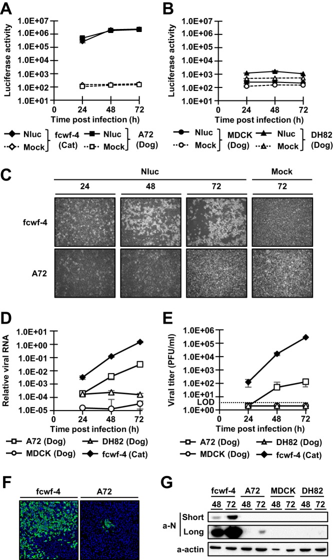 FIG 3