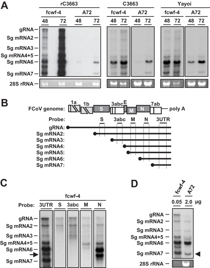 FIG 5