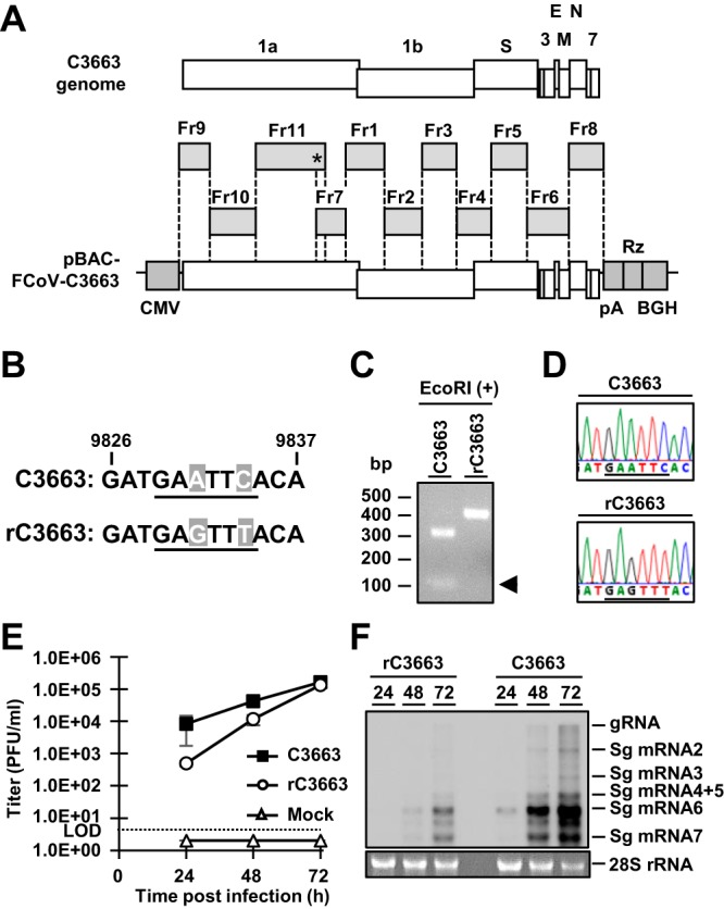 FIG 1