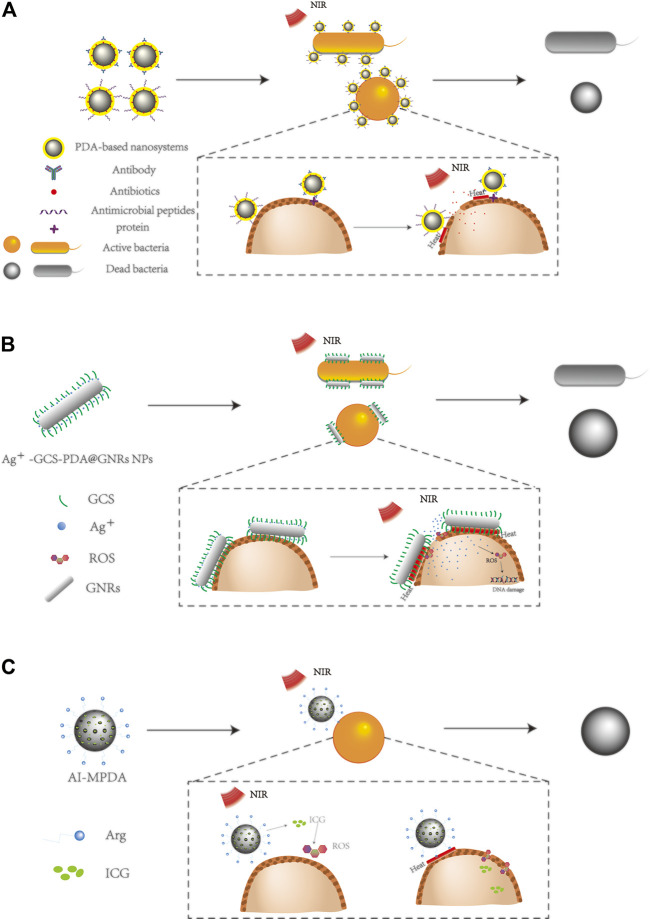 FIGURE 2