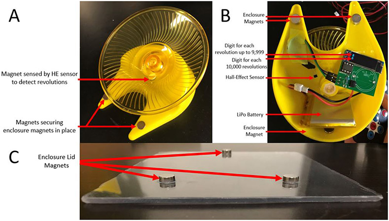 Figure 1 ∣