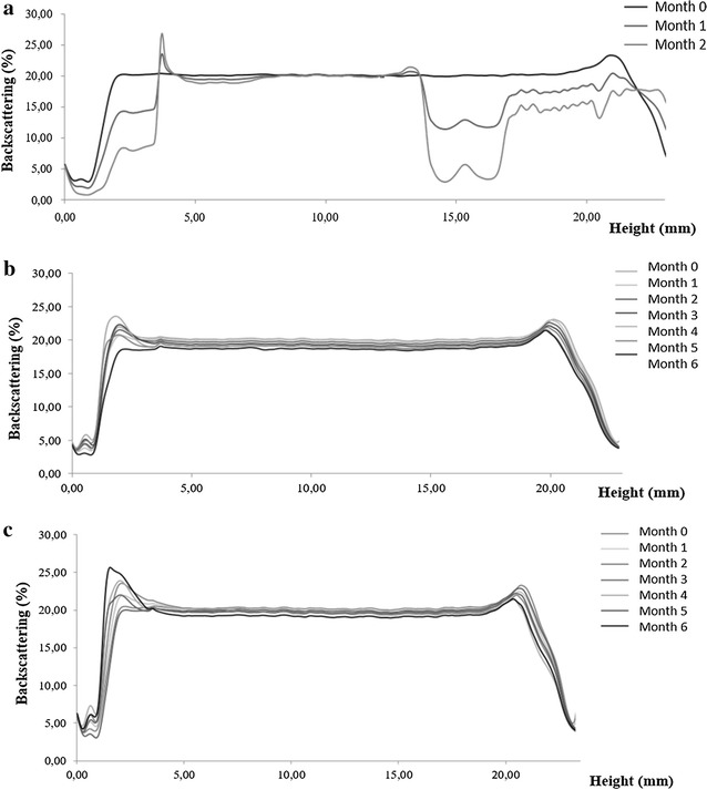 Fig. 4