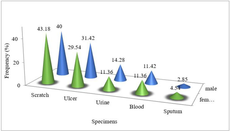 Fig. 1: