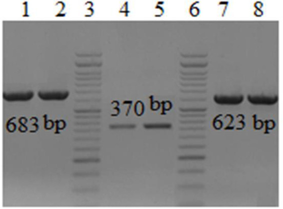 Fig. 3: