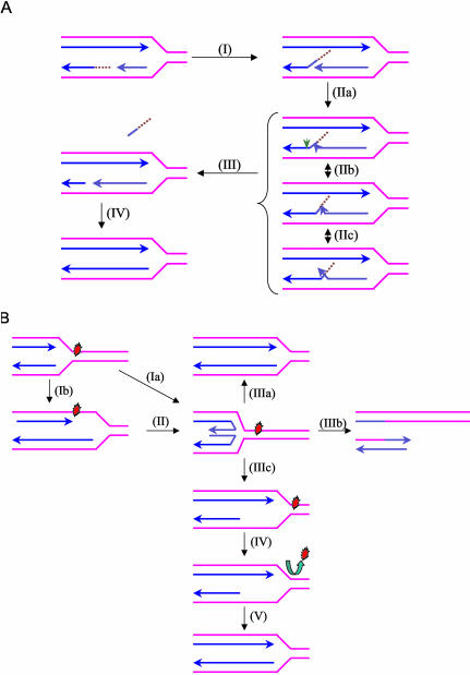 Figure 12.