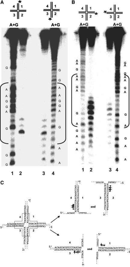 Figure 6.