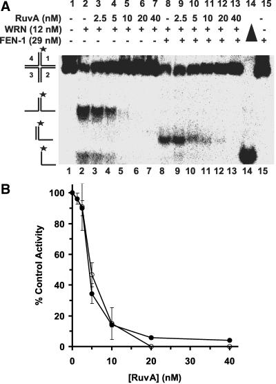 Figure 9.