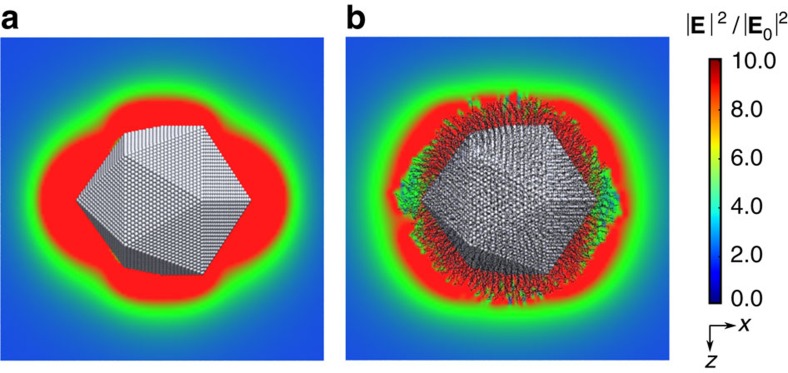 Figure 6