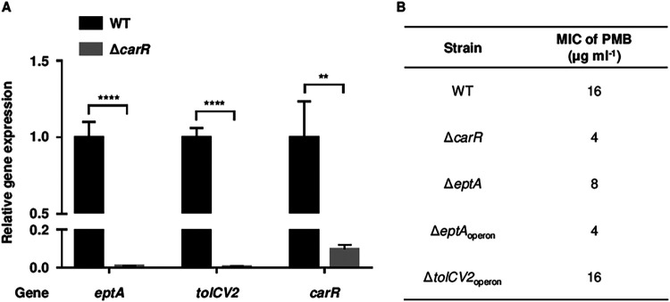 FIG 3