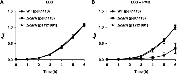 FIG 1