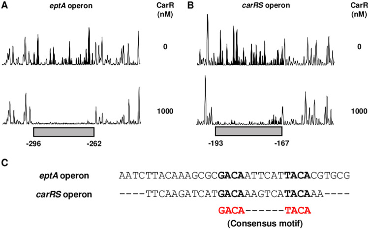 FIG 6