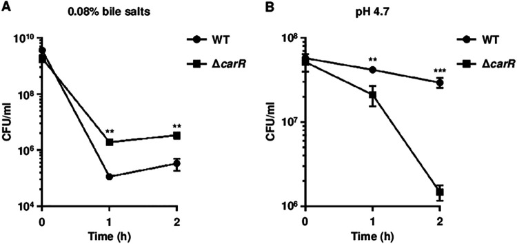 FIG 8