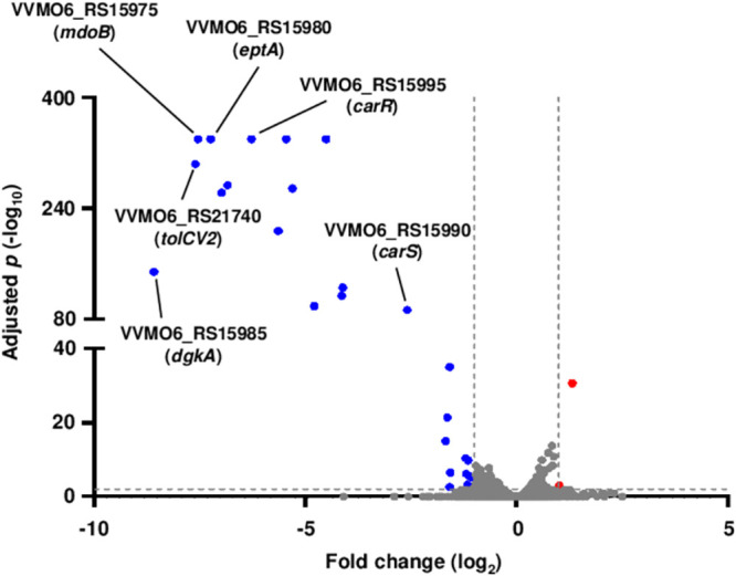 FIG 2