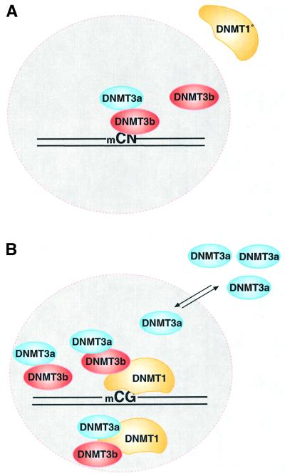 graphic file with name cdf401f7.jpg