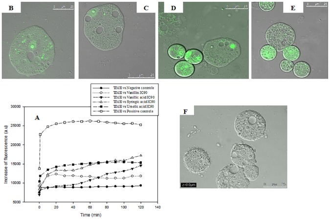 Fig 4