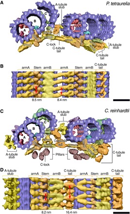 Fig. 2