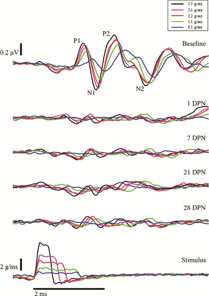 FIGURE 2