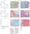 Extended Data Fig. 10