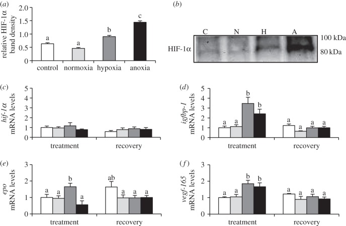 Figure 3.